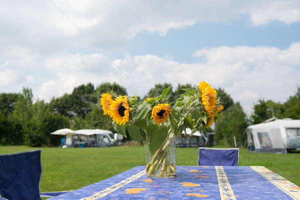 Stock photo: Flowers at campsite