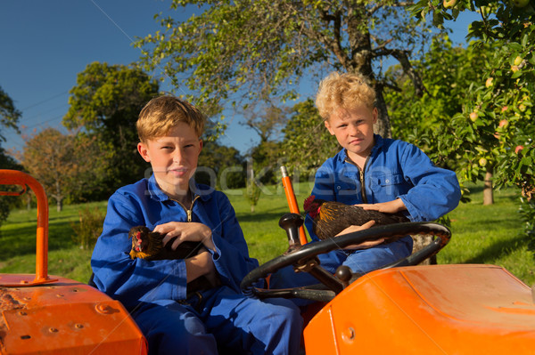 Farm Boys on tractor Stock photo © ivonnewierink