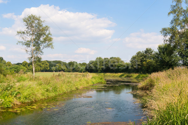 Dutch landscape Stock photo © ivonnewierink