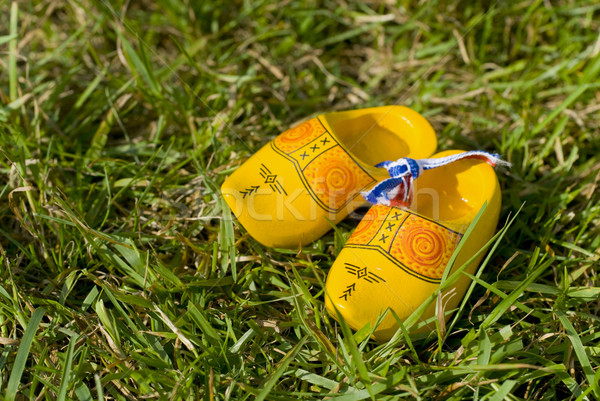 Nederlands houten schoenen groen gras Stockfoto © ivonnewierink