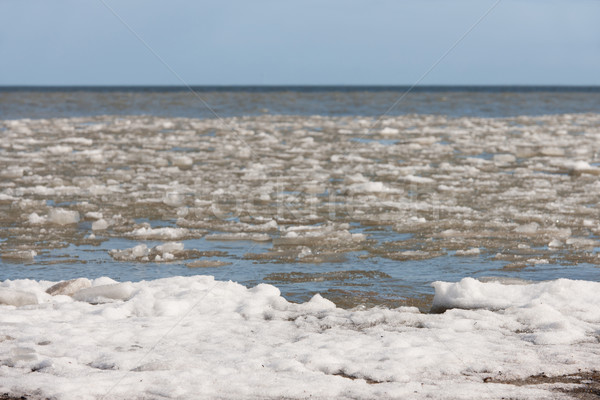 Drifting ice in the sea Stock photo © ivonnewierink