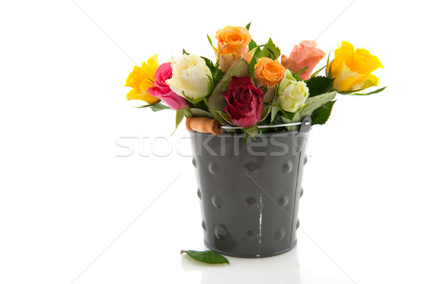 Bouquet colorful roses Stock photo © ivonnewierink