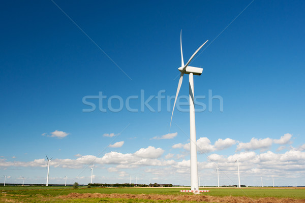 Wind turbines in agriculture landscape Stock photo © ivonnewierink