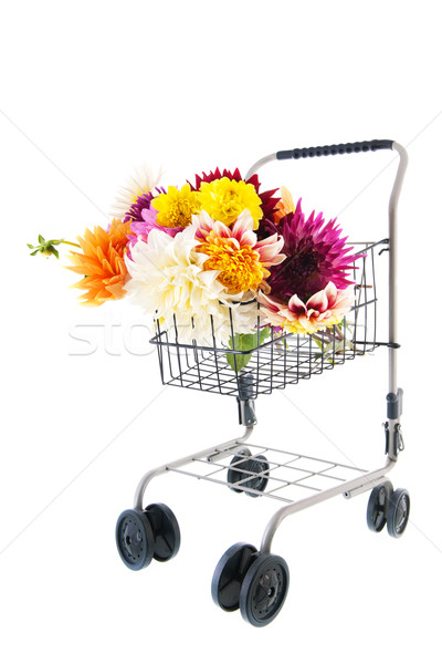 Bouquet Dahlias in shopping cart Stock photo © ivonnewierink