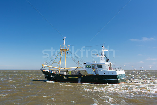 Fishing boat at sea Stock photo © ivonnewierink