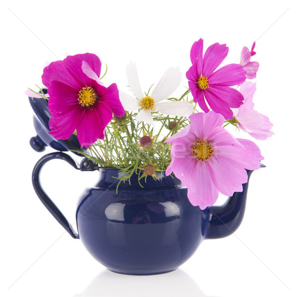 Pink Cosmos flowers in vase Stock photo © ivonnewierink