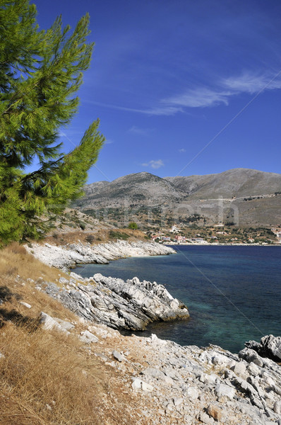 Untamed Greek coast Stock photo © ivonnewierink