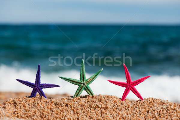 Colorful starfishes Stock photo © ivonnewierink