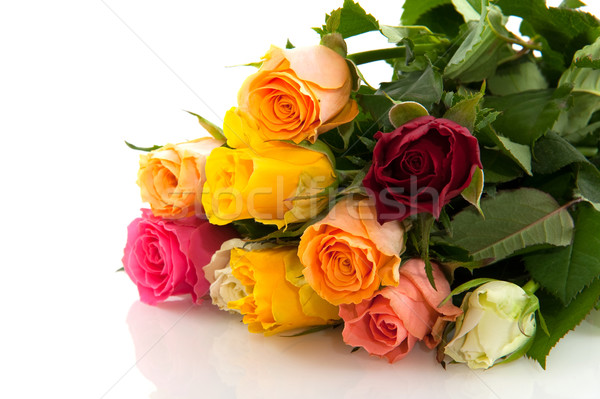 colorful roses Stock photo © ivonnewierink