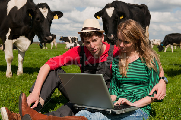 Сток-фото: Фермеры · области · коров · фермы · ноутбука