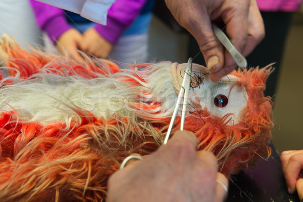 операция фаршированный обезьяны медицинской игрушку животного Сток-фото © ivonnewierink