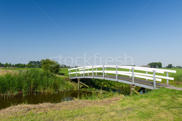 Bridge in landscape Stock photo © ivonnewierink