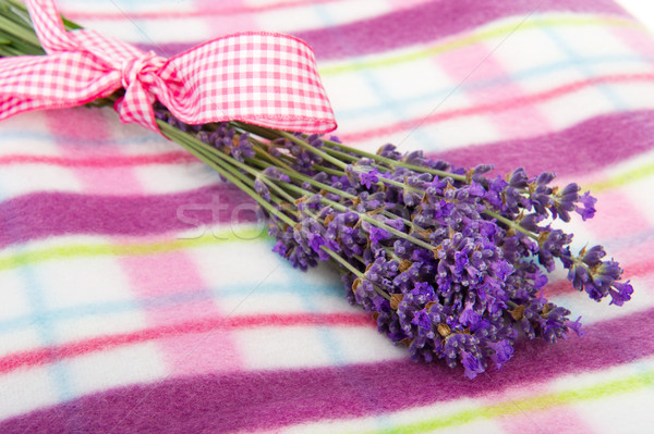 Bukiet lawendy koc piknikowy fioletowy biały kwiaty Zdjęcia stock © ivonnewierink