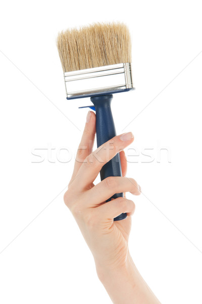 Paint brush Stock photo © ivonnewierink
