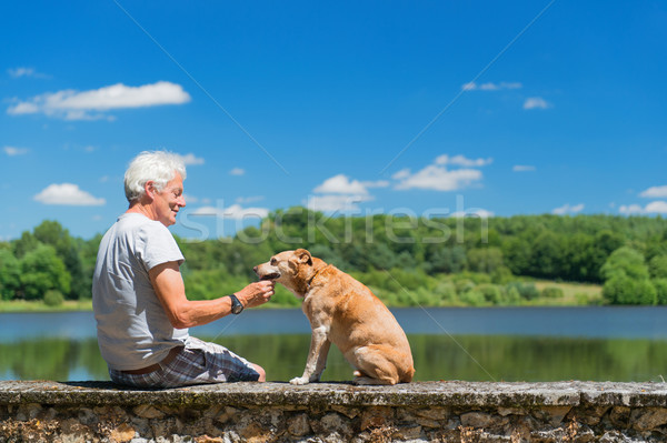 Stock foto: Senior · Mann · alten · Hund · Natur · Landschaft