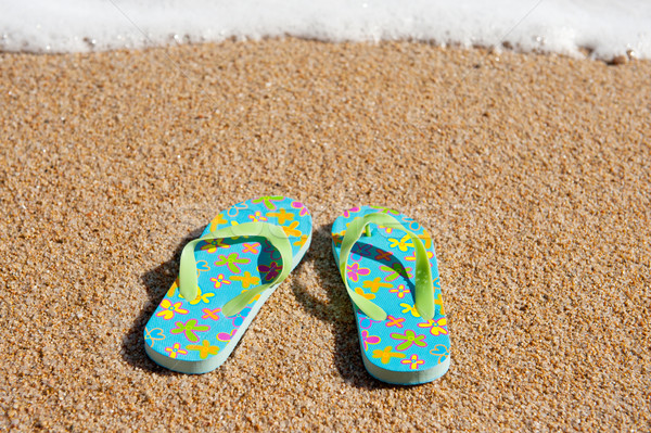 Flip flops at the beach Stock photo © ivonnewierink