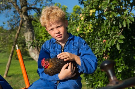 農場 男孩 拖拉機 雞 騎術 橙 商業照片 © ivonnewierink