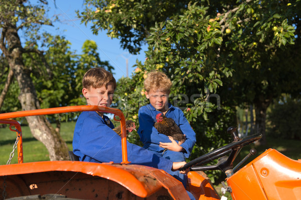 Farm Boys on tractor Stock photo © ivonnewierink