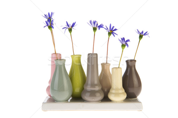 Felicia flowers in little vases Stock photo © ivonnewierink
