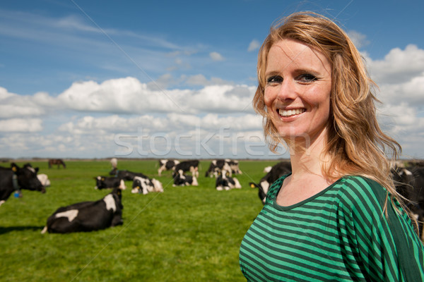 Holland lány mező tehenek fiatal szőke Stock fotó © ivonnewierink