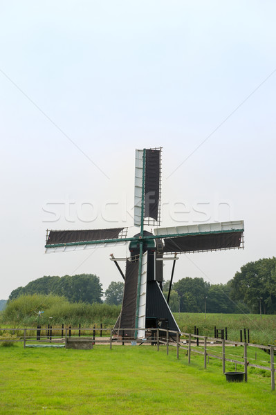 Dutch windmill near the river Stock photo © ivonnewierink