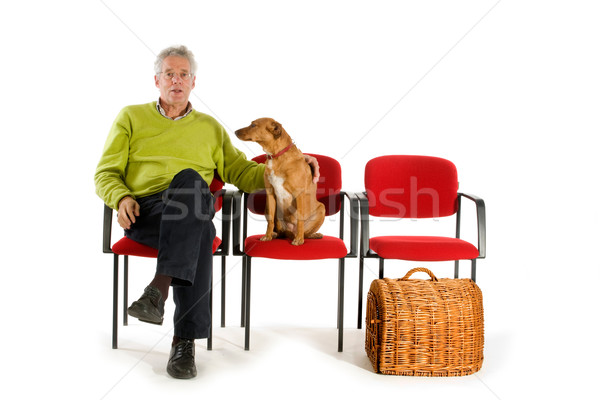 Stock photo: Waiting room veterinary