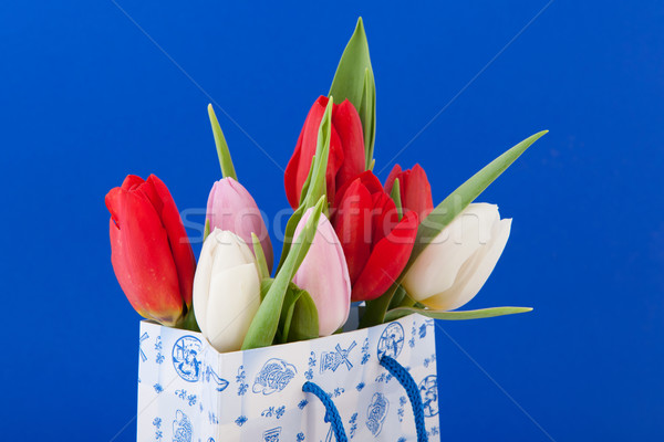 オランダ語 お土産 袋 チューリップ ショッピングバッグ 花束 ストックフォト © ivonnewierink