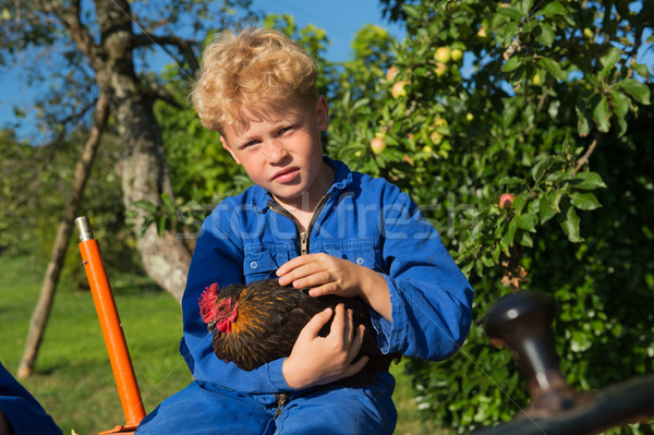 Farm Boy with tractor Stock photo © ivonnewierink