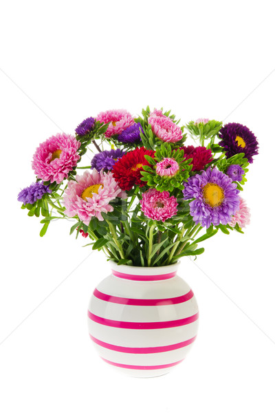 Bouquet New England Asters in vase Stock photo © ivonnewierink
