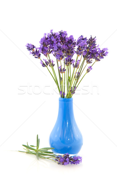 Stock photo: lavender