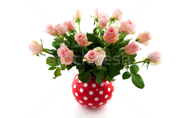 Stock photo: Pink roses