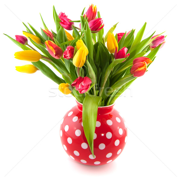 Kolorowy tulipany czerwony Wazon odizolowany biały Zdjęcia stock © ivonnewierink