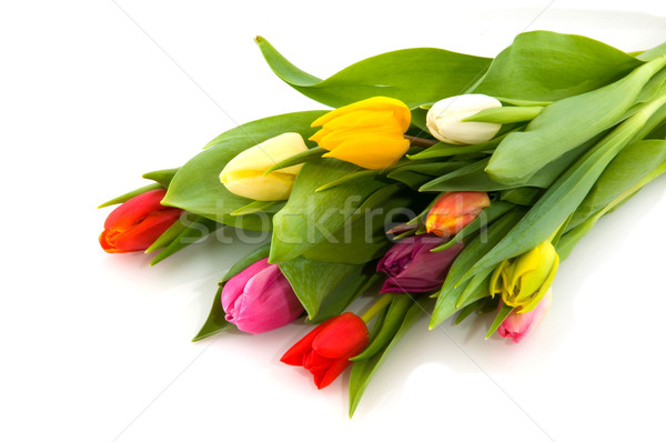 Foto stock: Tulipanes · ramo · flores · tulipán · blanco