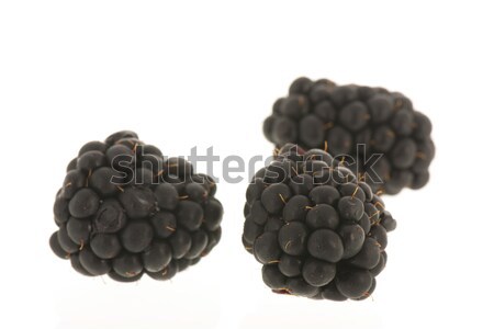 Blackberries isolated over white Stock photo © ivonnewierink