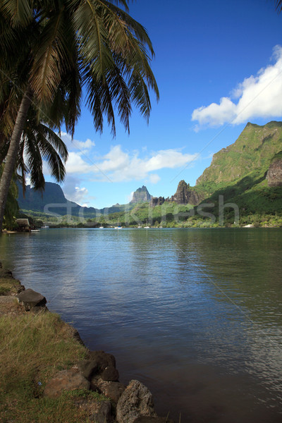 Stock fotó: Tájkép · Polinézia · trópusi · természet · hegyek · vitorlázik