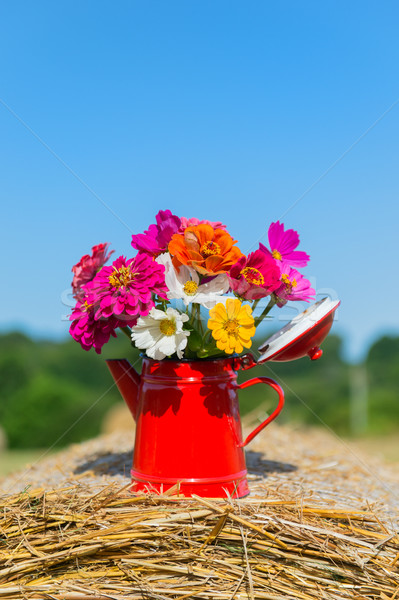 Bouquet flowers in summer Stock photo © ivonnewierink
