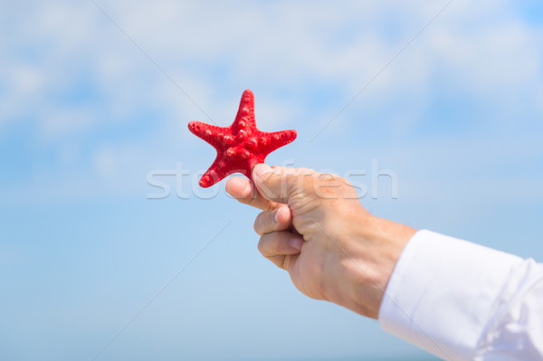 Starfish in hand business man Stock photo © ivonnewierink