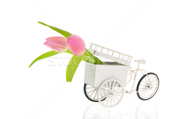 Foto stock: Edad · transporte · moto · flores · blanco · rosa