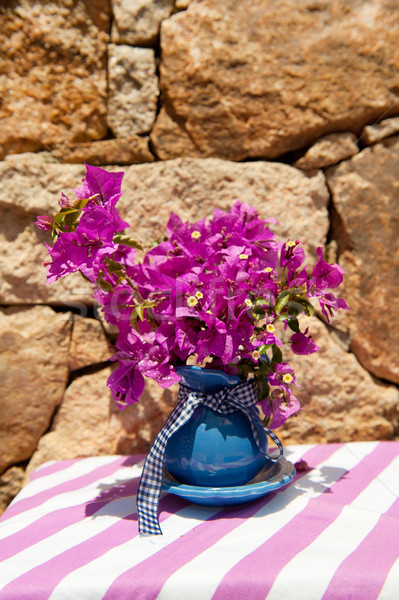 Pink Bougainvillea Stock photo © ivonnewierink