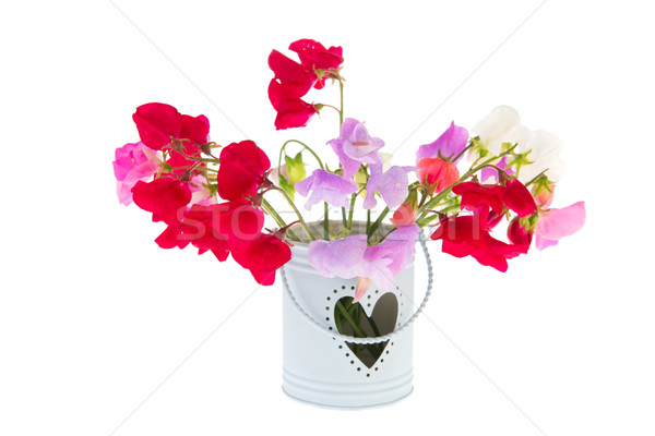 Bouquet Lathyrus Stock photo © ivonnewierink
