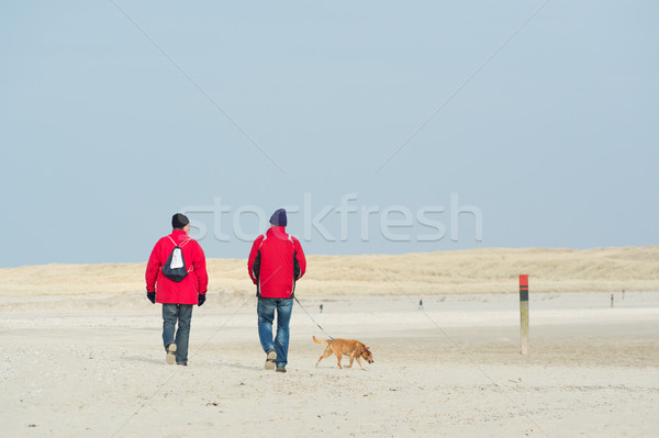 Walking near the coast Stock photo © ivonnewierink