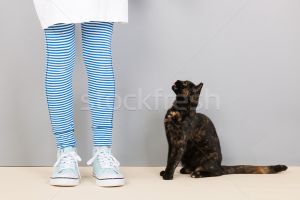 Tortoiseshell cat looking up for food Stock photo © ivonnewierink