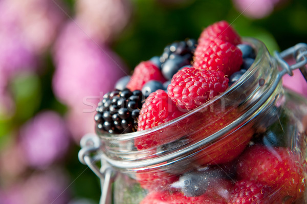 Foto stock: Forestales · frutas · aire · libre · diversidad · vidrio · jardín