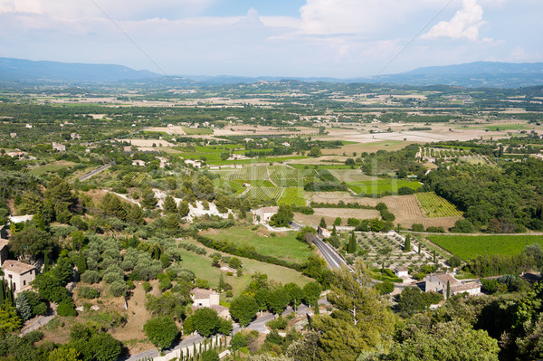 Vineyard in France Stock photo © ivonnewierink