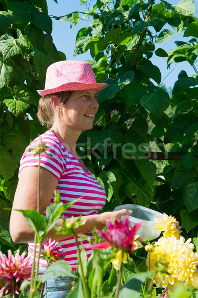 Woman in vegetable garden Stock photo © ivonnewierink