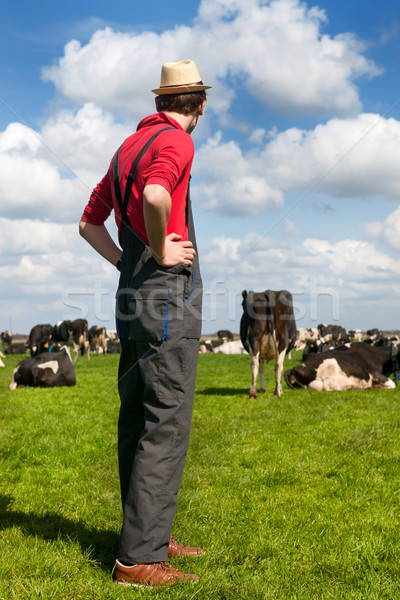 Typical Dutch landscape with farmer and cows Stock photo © ivonnewierink