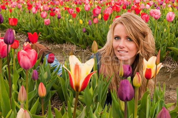 Dutch blond girl laying in field with tulips Stock photo © ivonnewierink