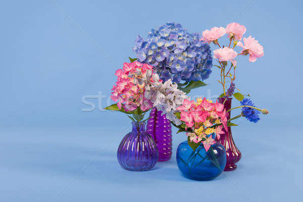 Flowers on blue background Stock photo © ivonnewierink