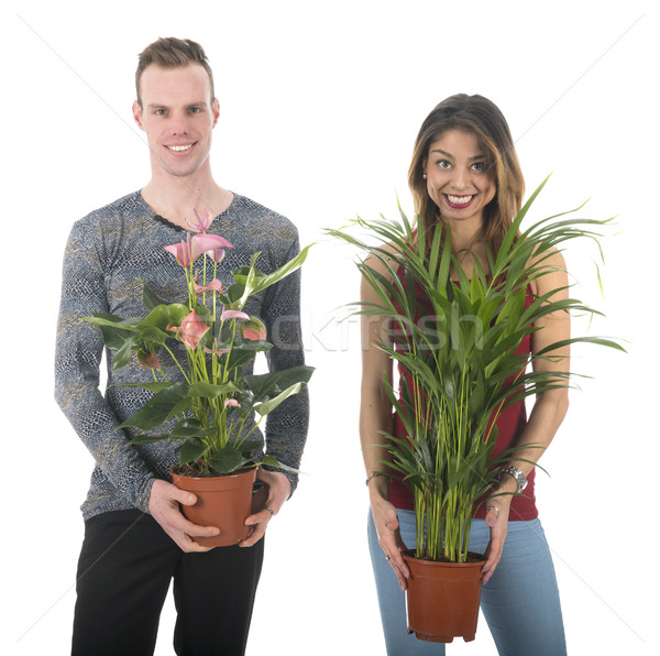 Decorate home with plants Stock photo © ivonnewierink