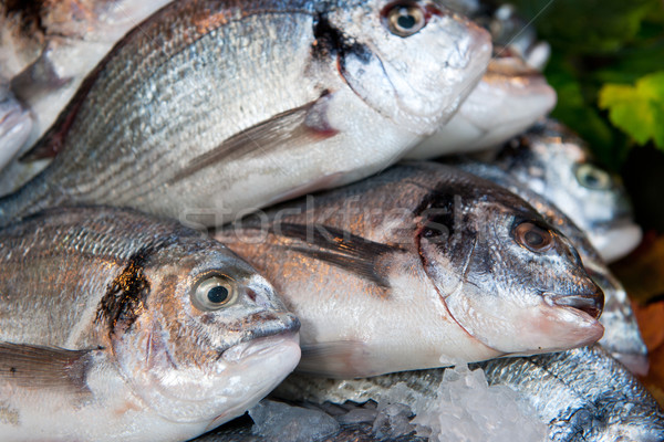 Poissons magasin alimentaire Photo stock © ivonnewierink